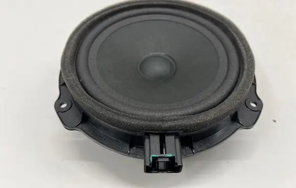 Ford Mustang Mach-E Front door speaker LJ8T18808BA 8941048801A