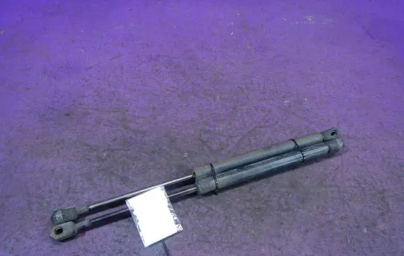 Tailgate strut