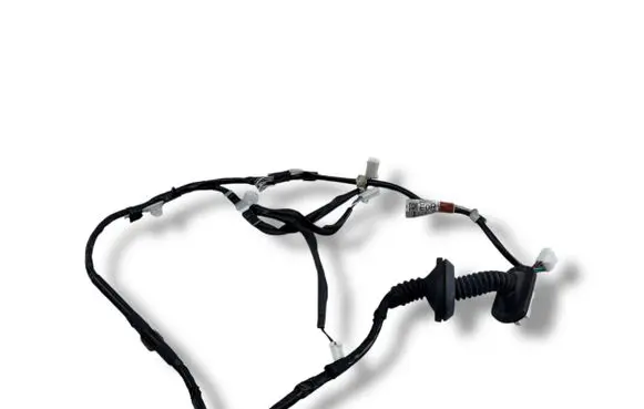 Rear door wiring loom