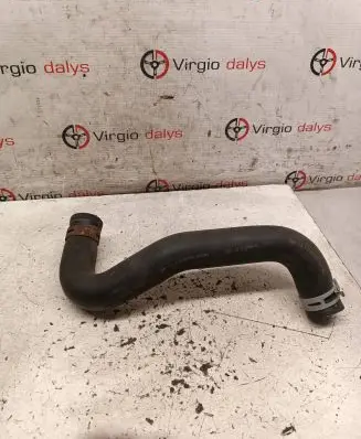 Nissan Juke I F15 Coolant pipe/hose 123CKAU7X0