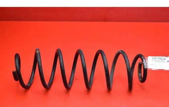 Rear coil spring