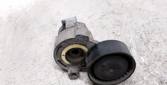 Nissan Qashqai Generator/alternator belt tensioner 117503662R
