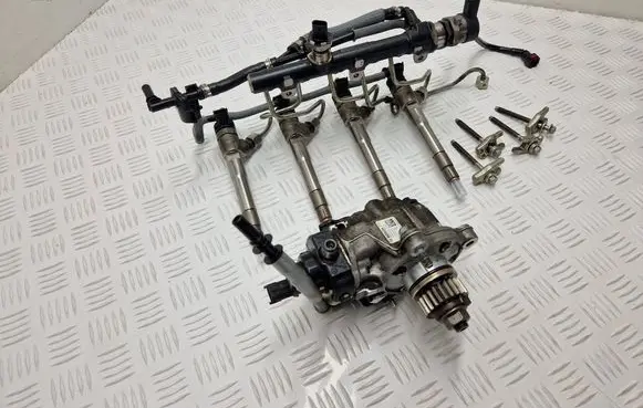 Renault Scenic IV - Grand scenic IV Fuel injection system set 0445110895 175217814R 167006205R