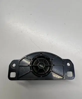 Panel speaker
