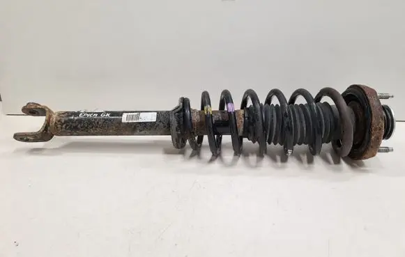 Chevrolet Epica Rear shock absorber with coil spring 96943787