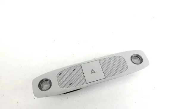 Tesla Model 3 Front seat light 109257300L