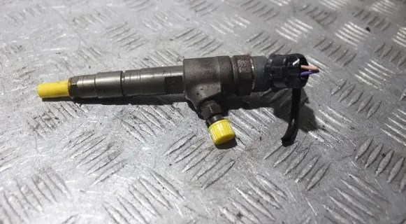 Citroen C3 Fuel injector 0445110339