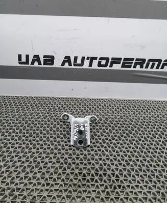 Renault Kadjar Rear door lower hinge