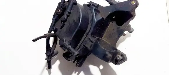 Citroen C3 Fuel filter 9646231180