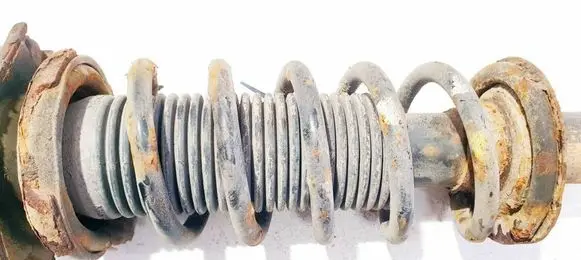 Rear coil spring