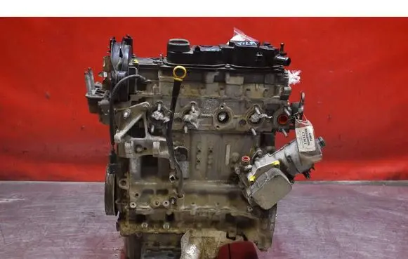 Ford Transit - Tourneo Connect Engine TZGA