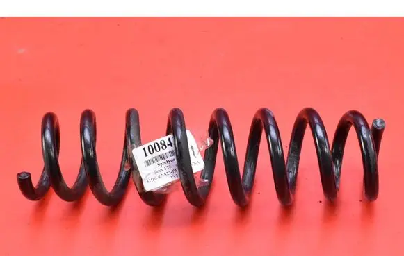 Rear coil spring