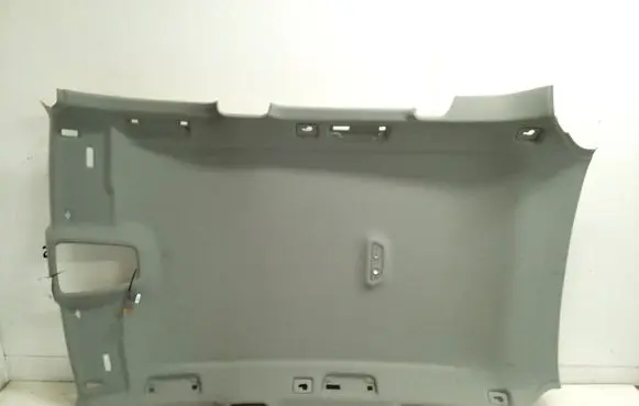 Audi Q5 SQ5 Headlining 80a867506p