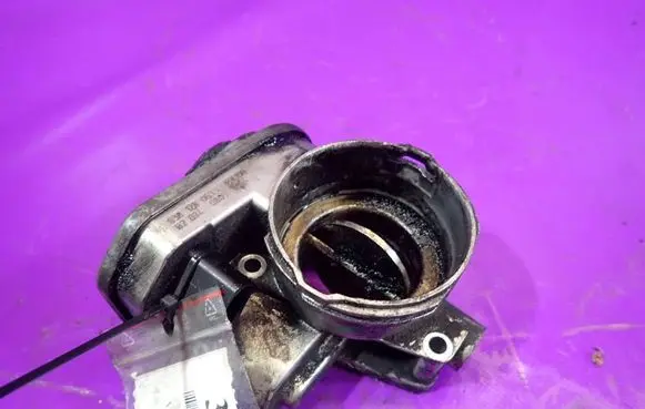 Volkswagen Golf Plus Throttle body valve 038128063L