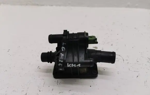 Peugeot 307 Thermostat housing 