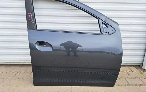 Dacia Sandero II Front door 