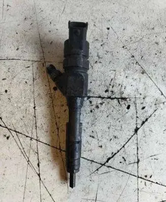 Hyundai Santa Fe Fuel injector 0445110064