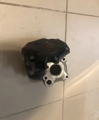 EGR valve