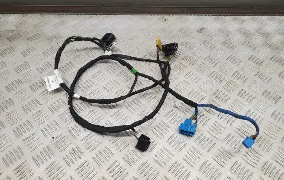 Mercedes-Benz CL C216 Front door wiring loom A2165405907
