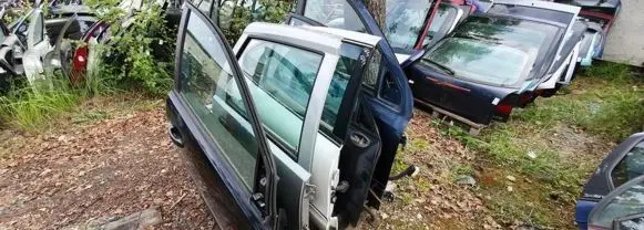 Fiat Punto (188) Rear door pilkos