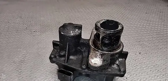 Renault Trafic III (X82) EGR valve 147109816R H8201061904