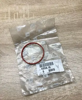 Citroen C6 Vacuum pump 455616