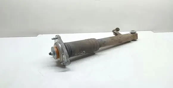 BMW X5 E70 Rear shock absorber/damper 6782876 33526782876