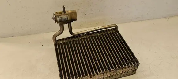 Peugeot 206 Air conditioning (A/C) radiator (interior) 70008295202 B0154