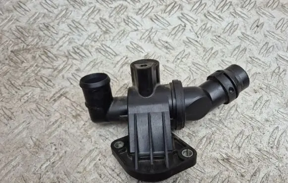 Thermostat/thermostat housing