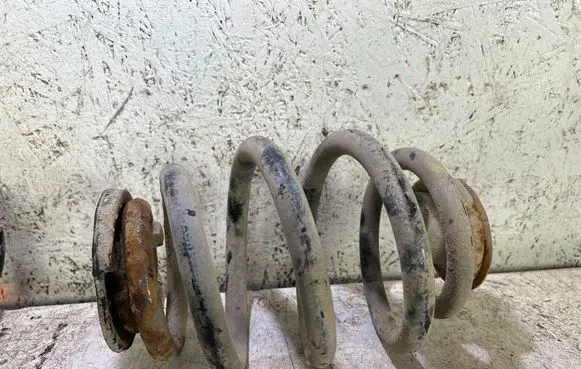 Rear coil spring