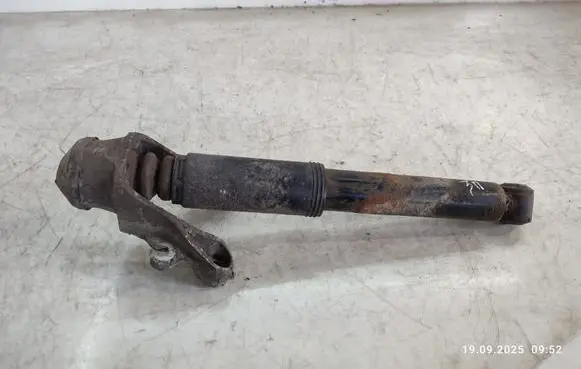 Rear shock absorber/damper