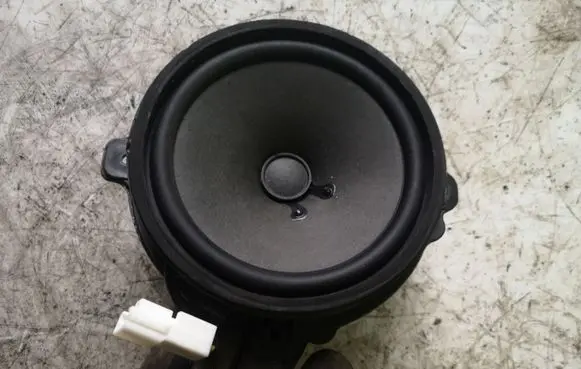 Opel Antara Rear door speaker 25907870