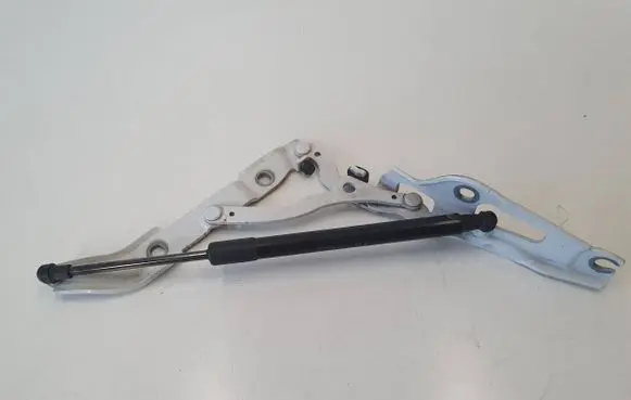 BMW 1 E82 E88 Tailgate/trunk/boot hinge 7166752 7166758