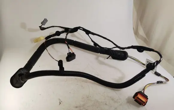 Rear door wiring loom