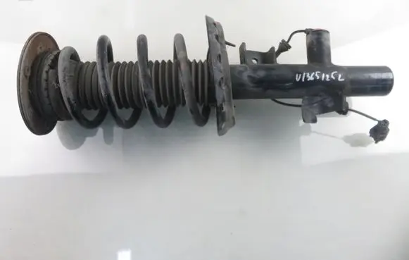 Ford S-MAX Front shock absorber with coil spring 