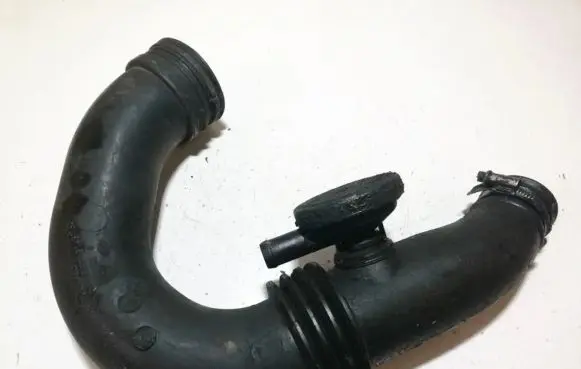 Renault Clio II Air intake hose/pipe 8200143788