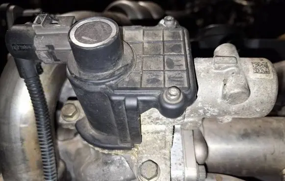 EGR valve