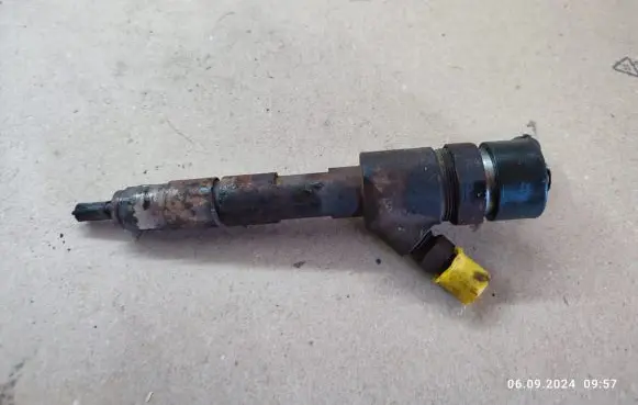 Renault Megane II Fuel injector 0445110230