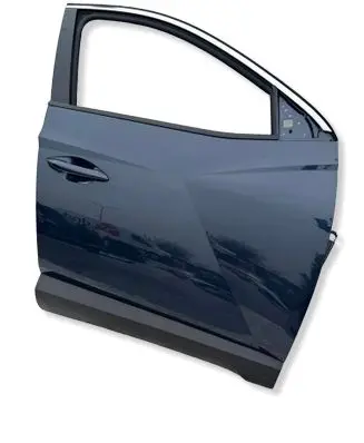 Hyundai Tucson IV NX4 Front door 
