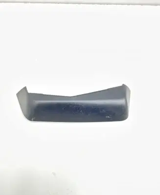 Rear/tail light trim molding