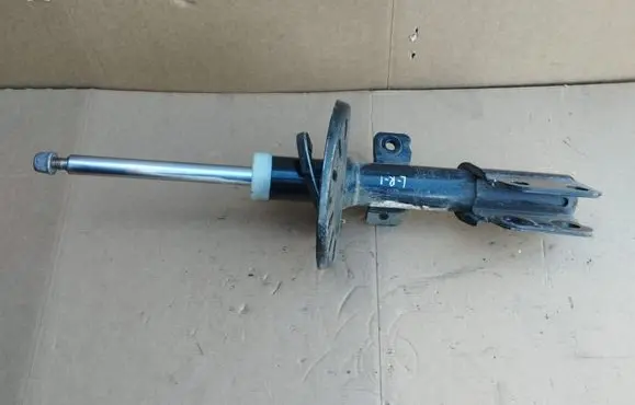 Citroen Jumpy Front shock absorber/damper 9821596780