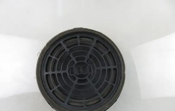 Front door speaker