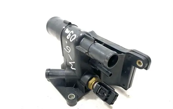 Thermostat/thermostat housing