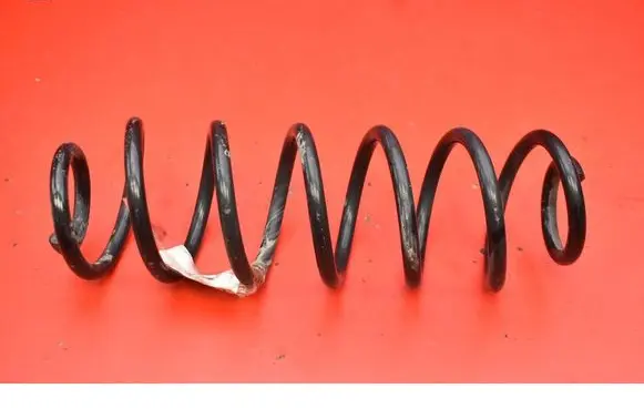 Rear coil spring
