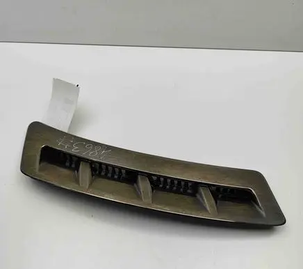 Fender trim (molding)