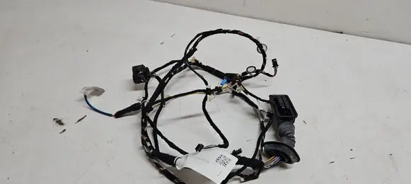 BMW 2 F22 F23 Front door wiring loom 19344411 9340997 F21F22F23