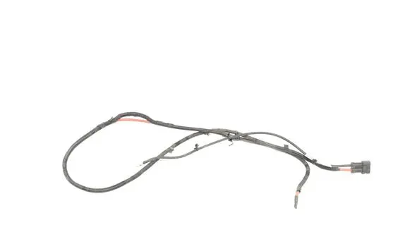 Engine installation wiring loom