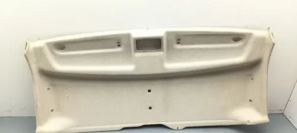 Fiat Ducato Headlining 07355360040