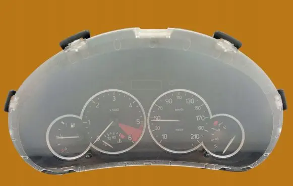 Peugeot 206 Speedometer (instrument cluster) 9656696580