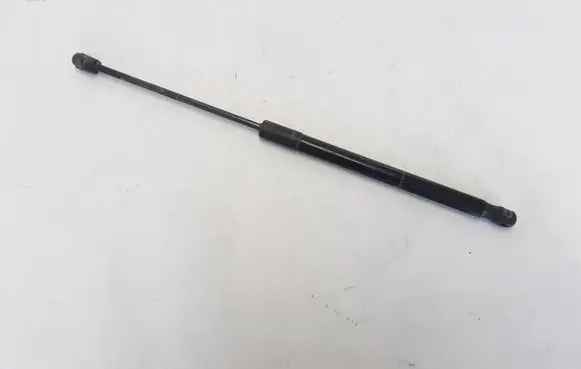 Tailgate strut